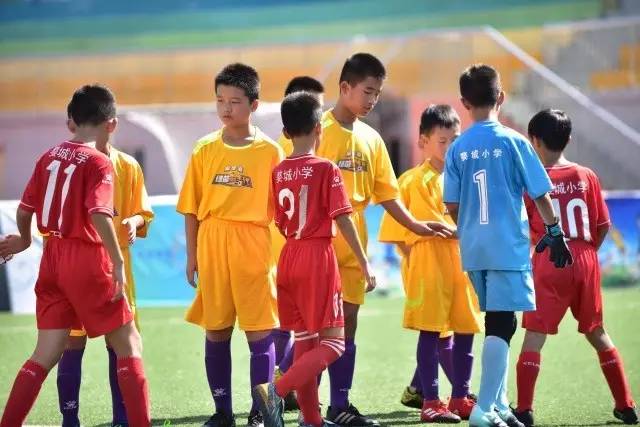 市值仅40亿的企业吸引外资重仓，五年横盘背后的秘密